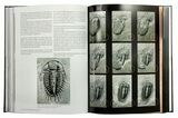 Trilobite Book - The Back to the Past Museum Guide to Trilobites - Photo 4